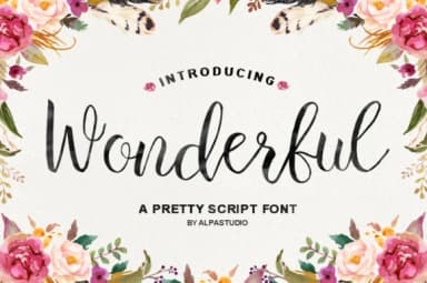 Wonderful Script Font by Youngtype — Script Handwritten Font — thumbnail 1
