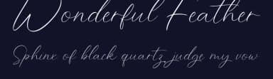 Wonderful Feather by Rissyletter Studio — Script Handwritten Font — thumbnail 2