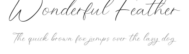 Wonderful Feather by Rissyletter Studio — Script Handwritten Font