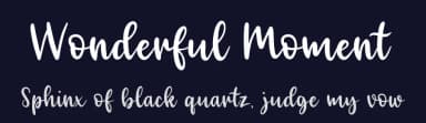 Wonderful Moment by Maria Feliz Studio — Script Handwritten Font — thumbnail 2