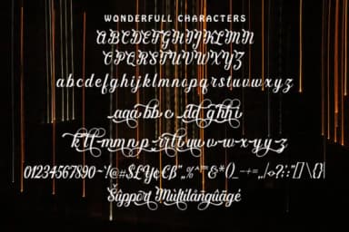 Wonderfull Font by akifatype — Script Handwritten Font — thumbnail 3