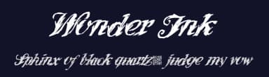 Wonder Ink by Xerographer Fonts — Script Handwritten Font — thumbnail 2