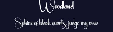 Woodland by Scratchones — Script Handwritten Font — thumbnail 2