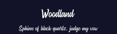 Woodland by Iqbal Habibi — Script Handwritten Font — thumbnail 2