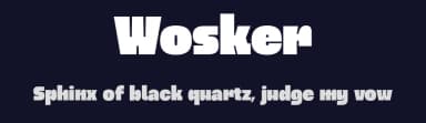 Wosker by Limitype — Sans Serif Font — thumbnail 2
