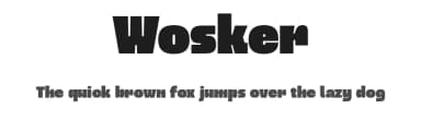 Wosker by Limitype — Sans Serif Font — thumbnail 1