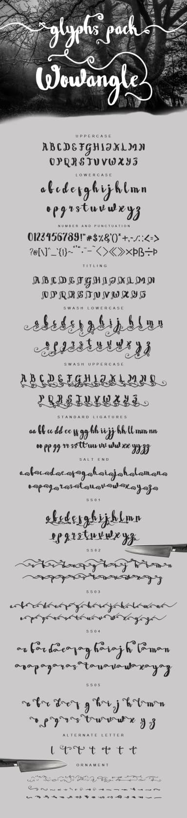 Wowangle Font by feydesign — Script Handwritten Font — thumbnail 2
