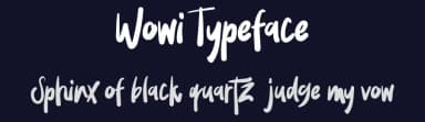 Wowi Typeface by Maulana Creative — Script Handwritten Font — thumbnail 2