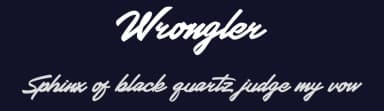 Wrongler by HansCo — Script Handwritten Font — thumbnail 2