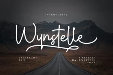 Wynstelle Script Font by letterzhe — Script Handwritten Font — thumbnail 1