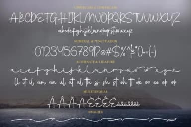 Wynstelle Script Font by letterzhe — Script Handwritten Font — thumbnail 8