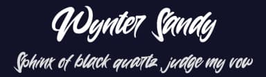 Wynter Sandy by StringLabs Creative Studio — Script Handwritten Font — thumbnail 2