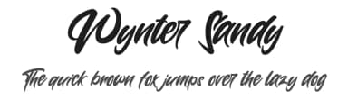 Wynter Sandy by StringLabs Creative Studio — Script Handwritten Font — thumbnail 1