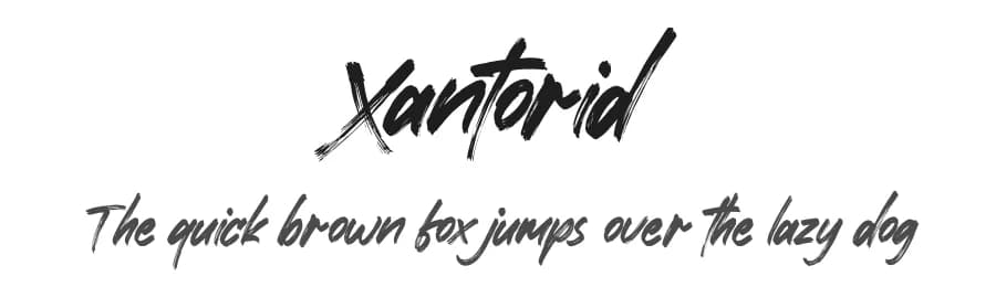 Xantorid by Letterena Studios — Script Handwritten Font