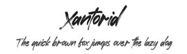 Xantorid by Letterena Studios — Script Handwritten Font — thumbnail 1