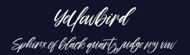 Yellowbird by Perspectype Studio - Letterena.com — Script Handwritten Font — thumbnail 2