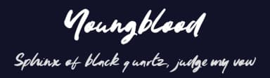 Youngblood by Zansari — Script Handwritten Font — thumbnail 2