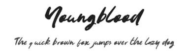 Youngblood by Zansari — Script Handwritten Font — thumbnail 1
