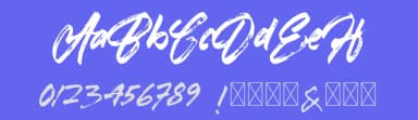 Youth Brush Daylight by Kotak Kuning Studio — Script Handwritten Font — thumbnail 3