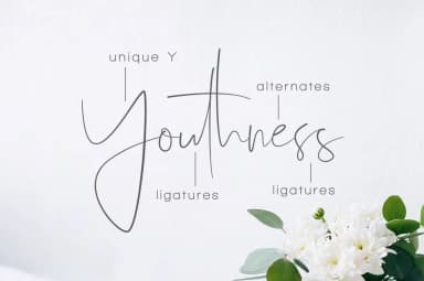 Youthness Font by Dharmas Studio — Script Handwritten Font — thumbnail 2