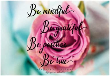 Yullya Script Font by InkwellTypeCo — Script Handwritten Font — thumbnail 7