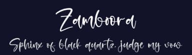 Zamboora by Letterena Studios — Script Handwritten Font — thumbnail 2