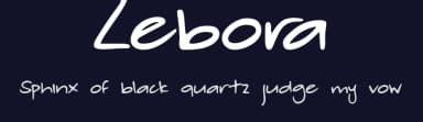 Zebora by Nariswari Creative — Script Handwritten Font — thumbnail 2