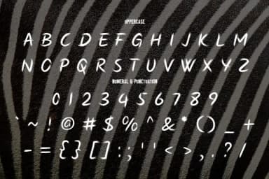 Zebra Font by da_only_aan — Script Handwritten Font — thumbnail 2