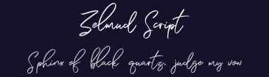 Zelmud Script by Maulana Creative — Script Handwritten Font — thumbnail 2