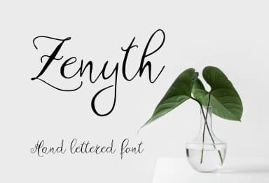 Zenyth Font by Digital Typeface Studio — Script Handwritten Font — thumbnail 1