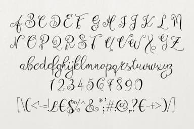 Zenyth Font by Digital Typeface Studio — Script Handwritten Font — thumbnail 5