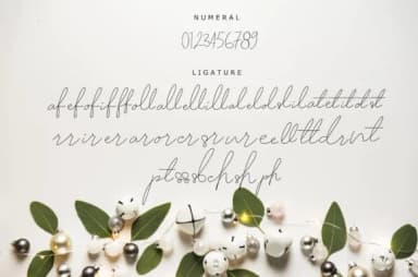 Zolland Font by kakasoto — Script Handwritten Font — thumbnail 8