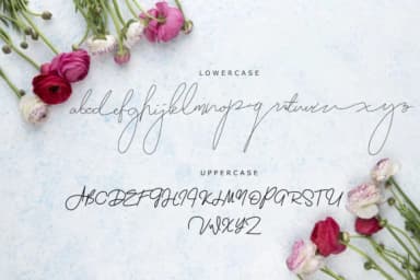 Zolland Font by kakasoto — Script Handwritten Font — thumbnail 9