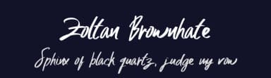 Zoltan Brownhate by Damn Studio — Script Handwritten Font — thumbnail 2
