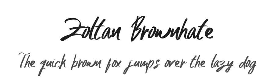 Zoltan Brownhate by Damn Studio — Script Handwritten Font — preview 1