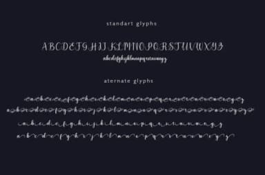 Zubayda Font by mightype89 — Script Handwritten Font — thumbnail 5