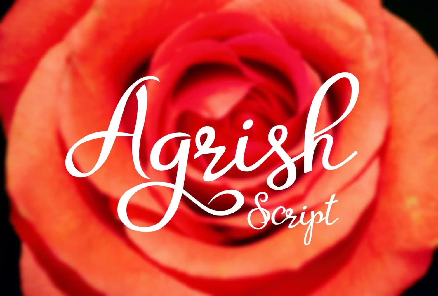 Agrish Font by Digital Typeface Studio — Script Handwritten Font