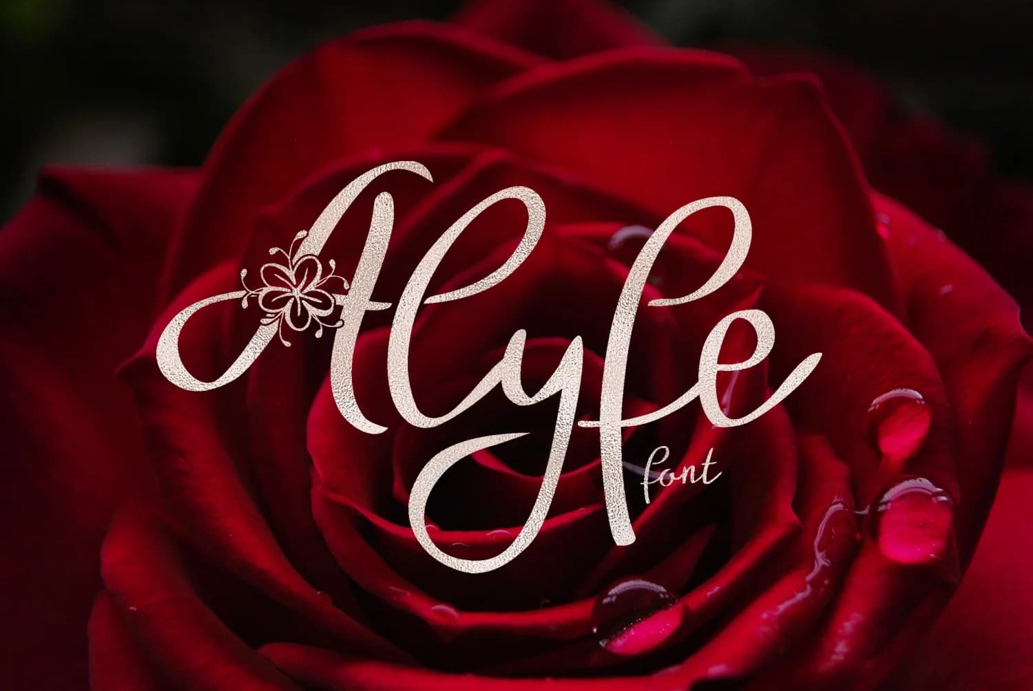 Alyfe Font by Digital Typeface Studio — Script Handwritten Font