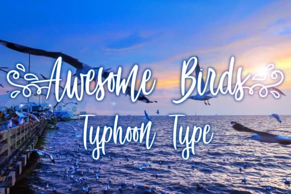 Awesome Birds Font by Typhoon Type™ — Script Handwritten Font