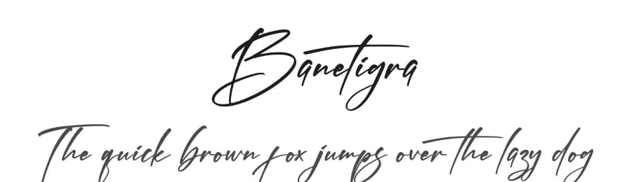 Banetigra by Letterena Studios — Script Handwritten Font