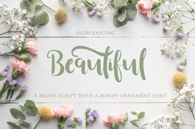 Beautiful Font by Kylie Ellway — Script Handwritten Font