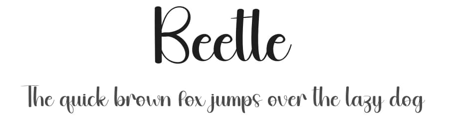 Beetle by Andi Moz — Script Handwritten Font