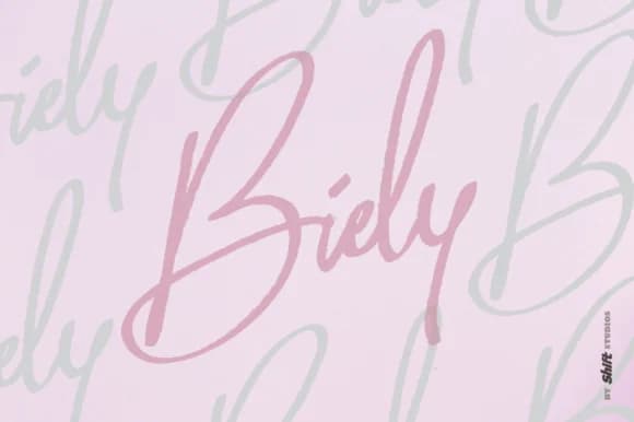 Biely Font by ShiftStudios — Script Handwritten Font