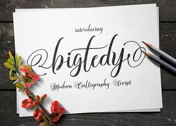 Bigtedy Font by Olexstudio — Script Handwritten Font