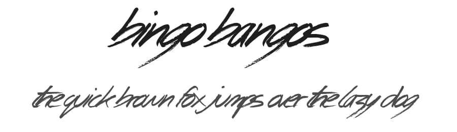 Bingo Bangos by JSH creates β Script Handwritten Font