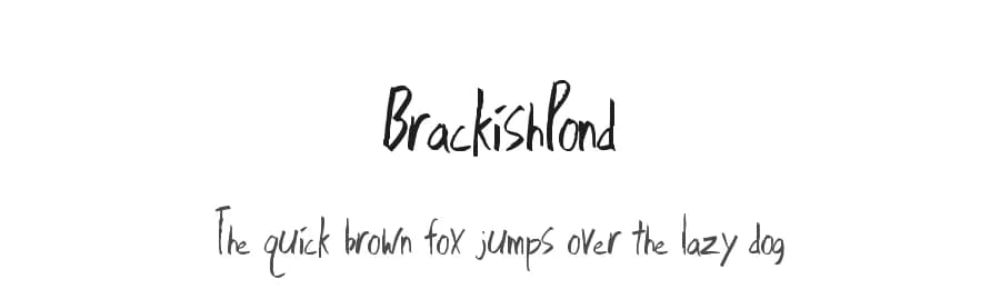 BrackishPond by Xerographer Fonts — Script Handwritten Font