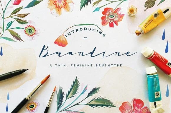 Brandine Font by Blue Robin Design Shop — Script Handwritten Font