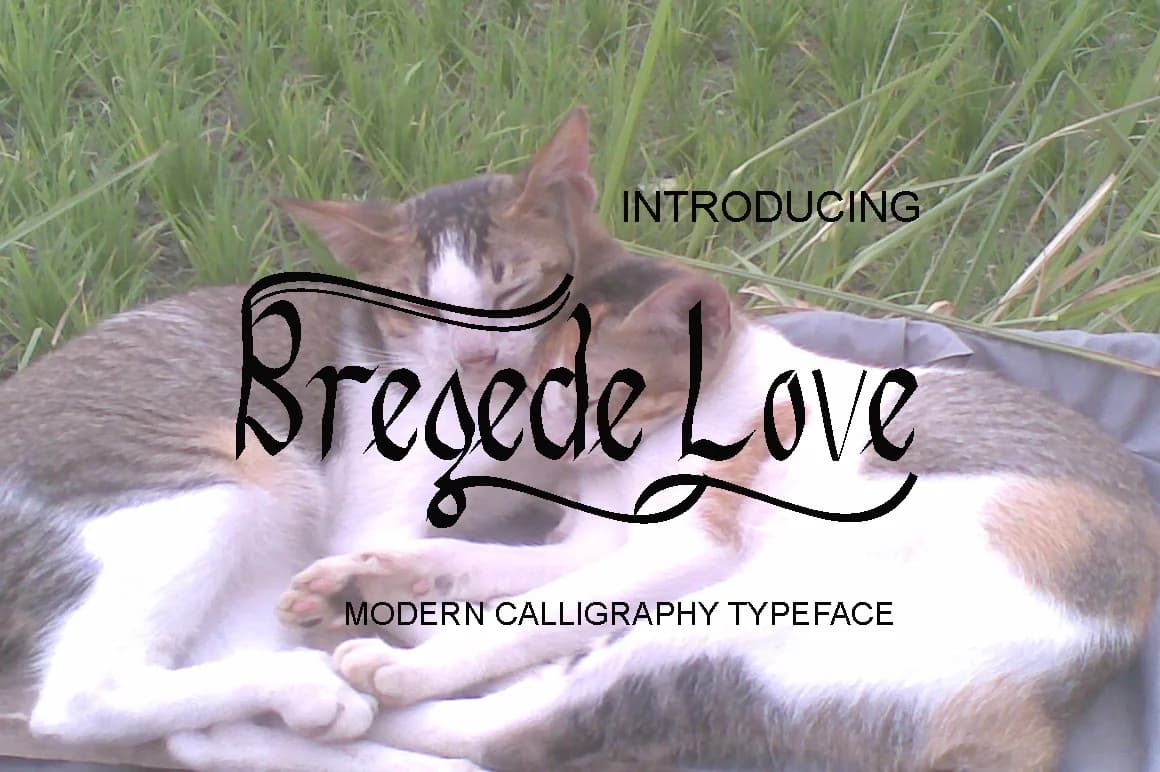 Bregede Love Font by AsaharStudio — Script Handwritten Font