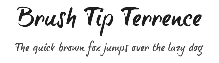 Brush Tip Terrence by JOEBOB graphics — Script Handwritten Font