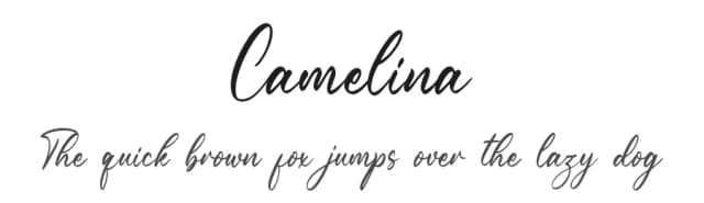 Camelina by NanaNissa — Script Handwritten Font